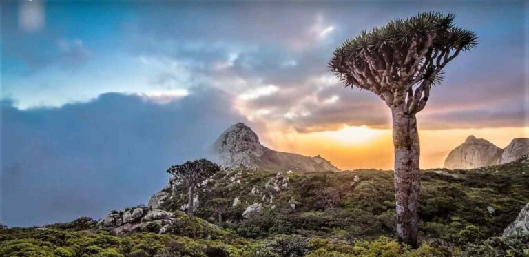 15 Ilhas Mais Misteriosas da Terra Que Vão Lhe Surpreender