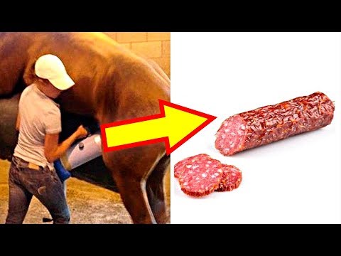 Você não compraria se soubesse a origem, já parou para pensar de que são realmente feitos os produtos que você consome?