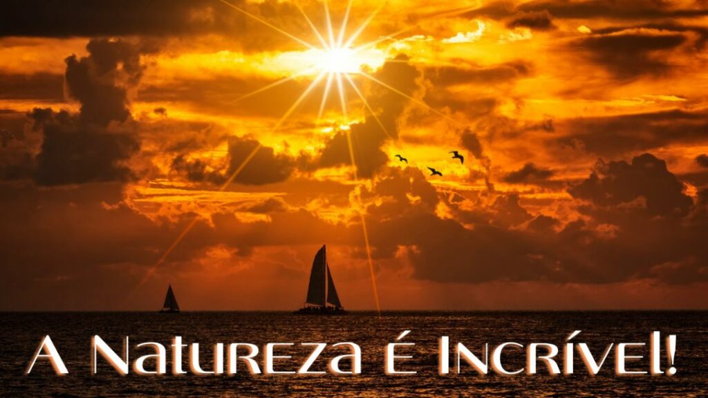 A natureza é um lugar mágico e cheio de beleza.